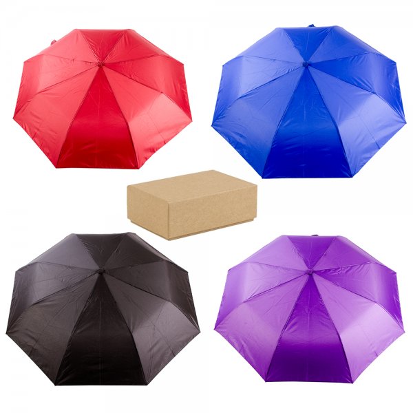 2812 ASSORTED UNISEX AUTOMATIC UMBRELLA BOX OF 12